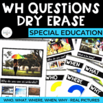 REAL PICTURES WH Questions for Special Education