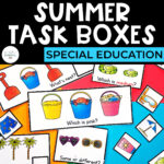 Summer Task Boxes for Special Education