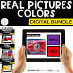 Digital Colors Interactive PDF + Boom Cards™ Special Ed (3 Levels)
