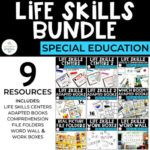 Life Skills Bundle for Special Education
