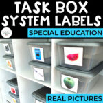 Task Box System Labels: Real Pictures