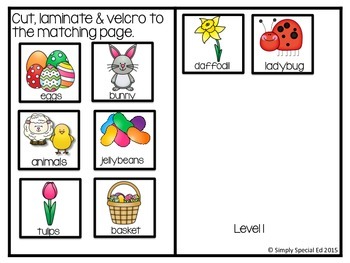 Adapted Book: Let's Celebrate Easter!