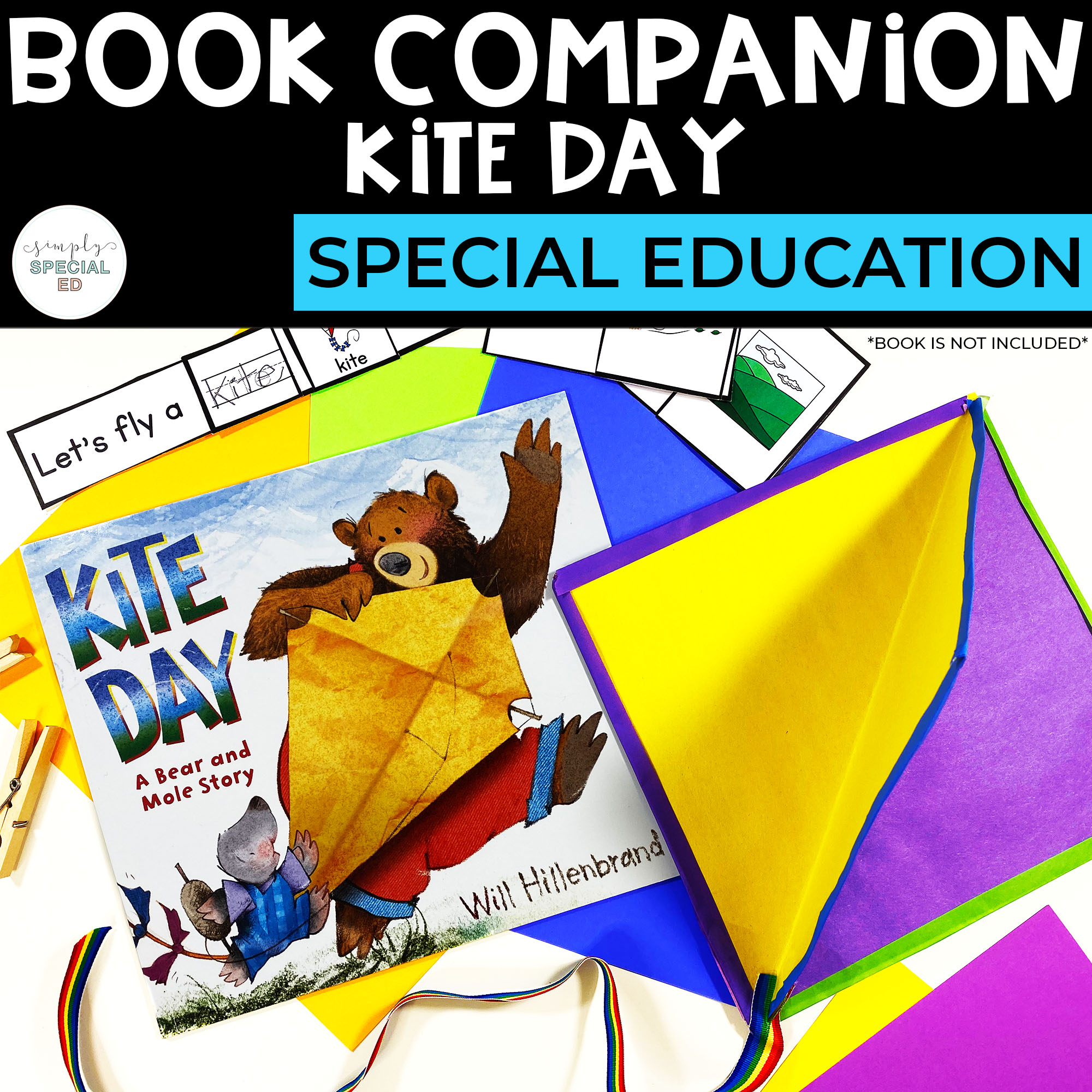 Book Companion: "Kite Day"