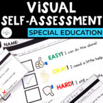 Visual Self-Assessment