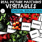 Real Picture Matching: Vegetables