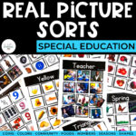Real Picture Sorting Activities: Colors, Numbers, Shapes, + more!