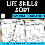 Life Skills Workbook: Life Skills Sort