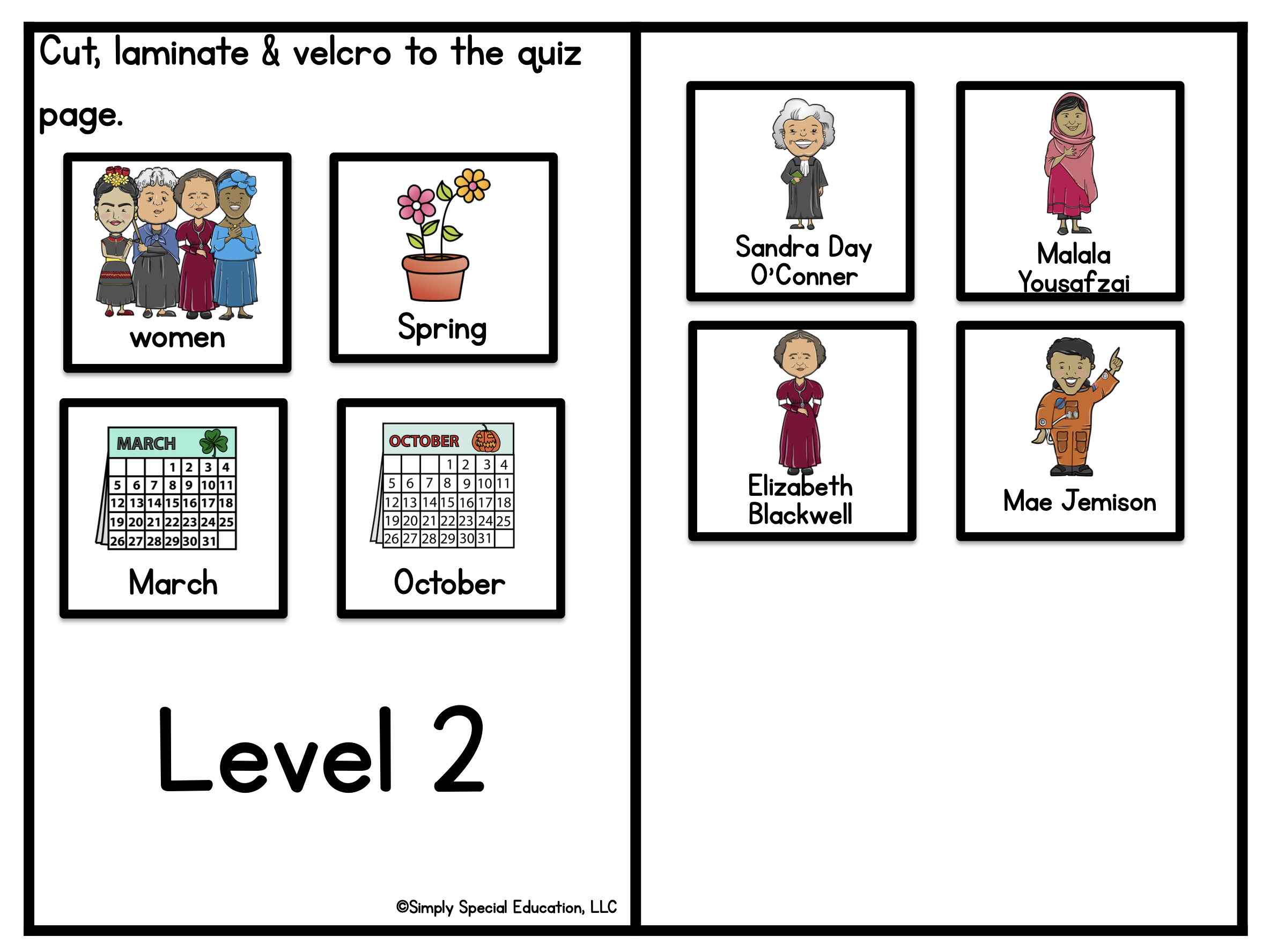 Adapted Book: Women's History - Image 4