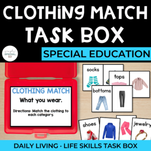 Daily Living Task Boxes: Clothing Match